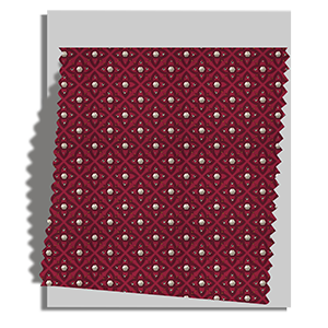sample ricamo lampone